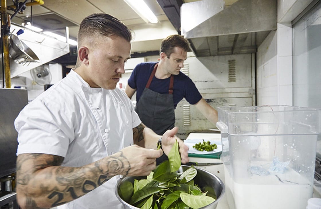 Here, the chefs are making ricotta cheese using the sap of fig branches and goat's milk from Hay Dairies.