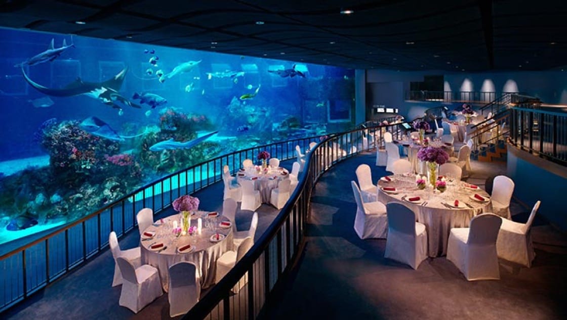 The view at the S.E.A Aquarium - Ocean Gallery