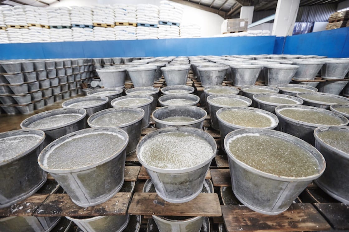 Buckets of syrup are left to crystallize naturally