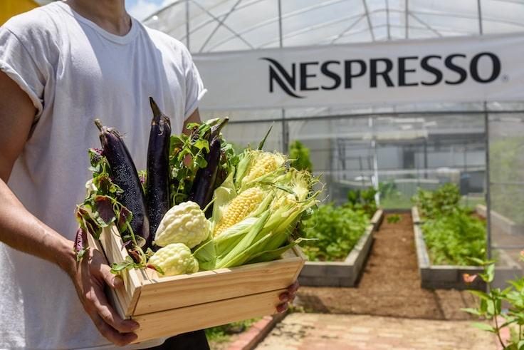 All vegetables grown at the Hong Kong Organic Waste Recycling Centre use coffee grounds-based compost. (Pic: Nespresso)