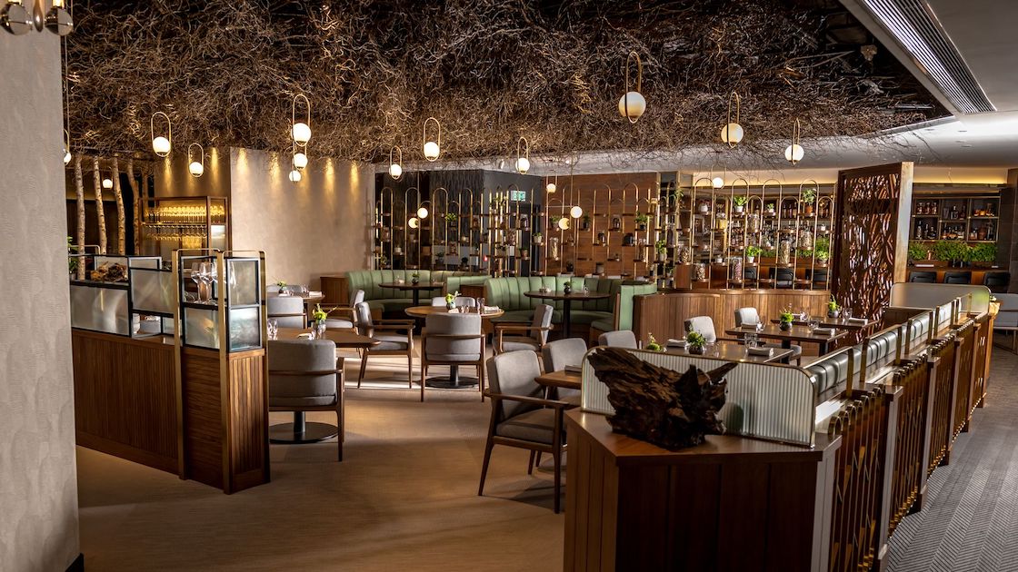 MICHELIN Green Star restaurant Roganic offers a sustainable take on a farm-to-table dining experience from London.