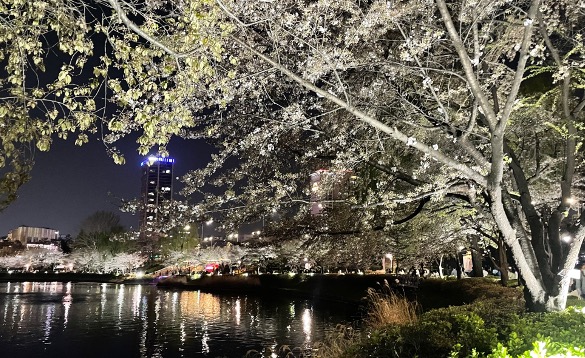 The view of the Seokchon Lake at night [SUMMER LEE]