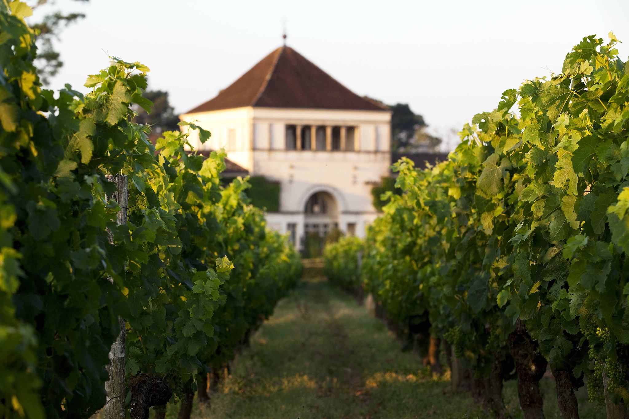 © Les Sources de Caudalie Bordeaux