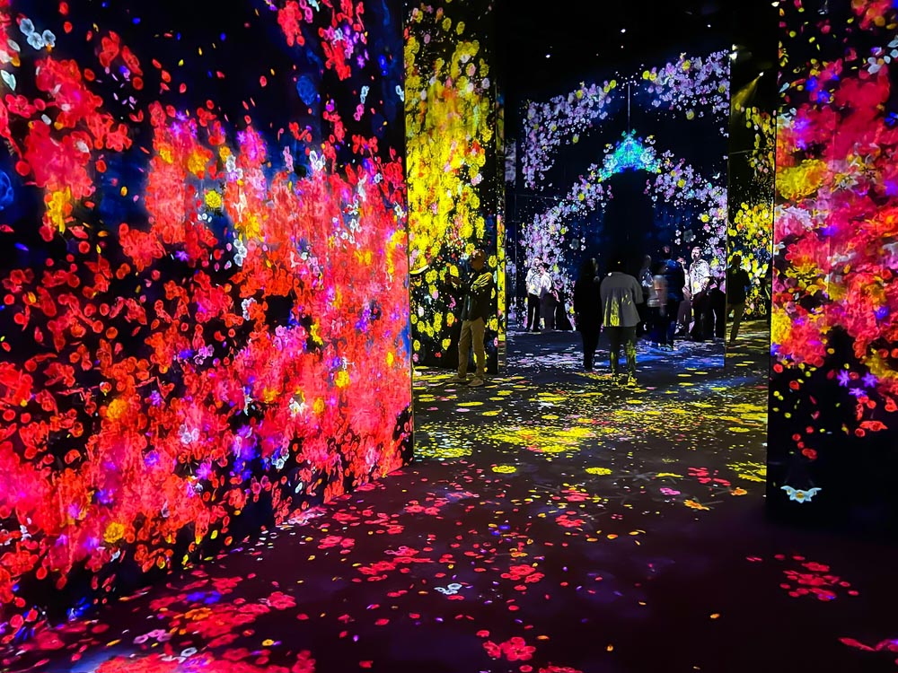 TeamLab Borderless ⒸAimuse