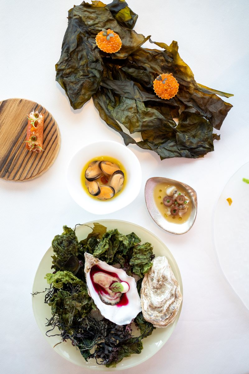 Oyster served with fermented beetroot juice © Arco by Paco Pérez 