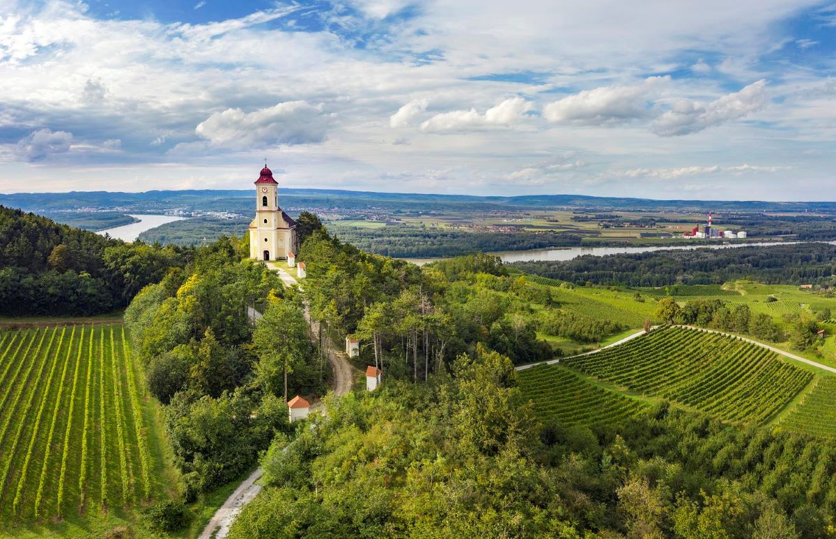 Kremstal Weinberg © Österreich Wein