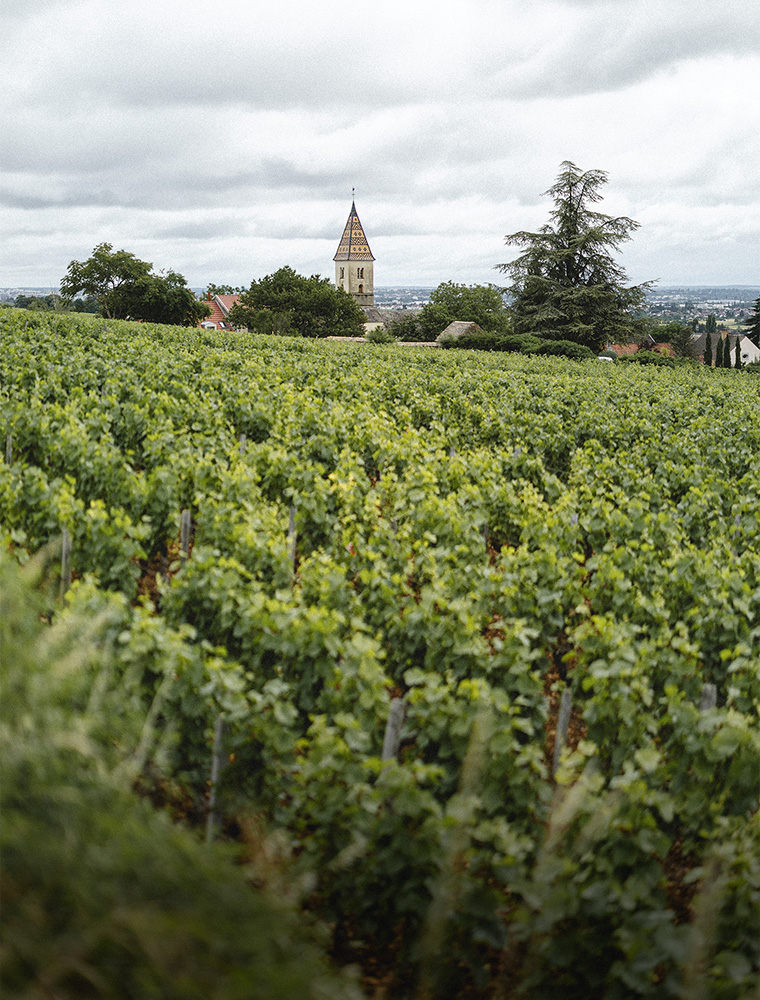 Domaine 10
